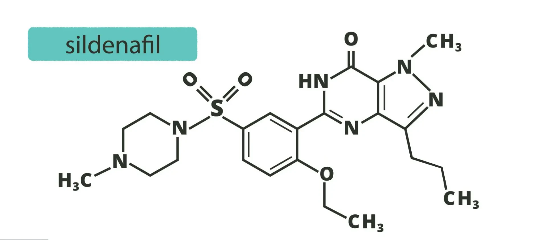 威而鋼作用機制示意圖