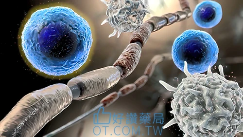 陽痿治療的未來發展